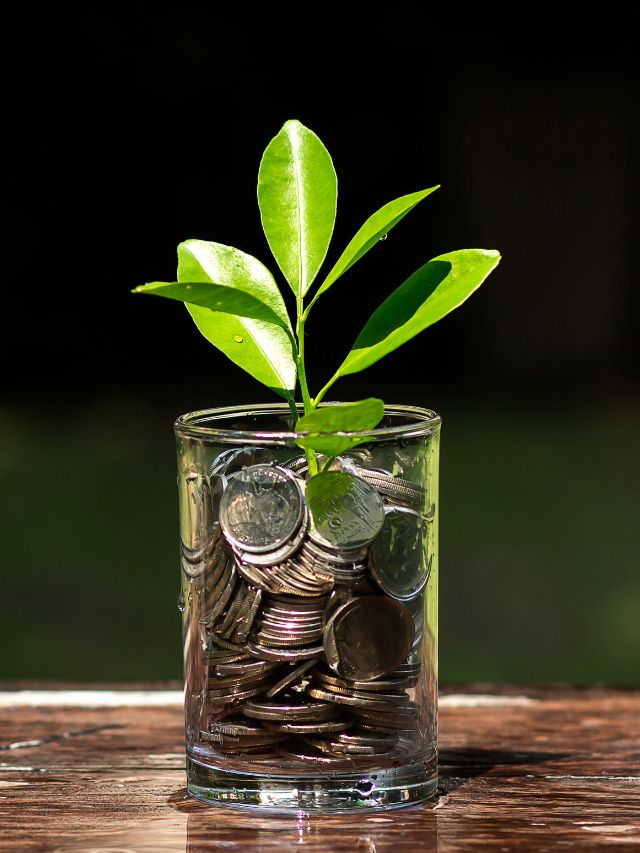fixed deposit